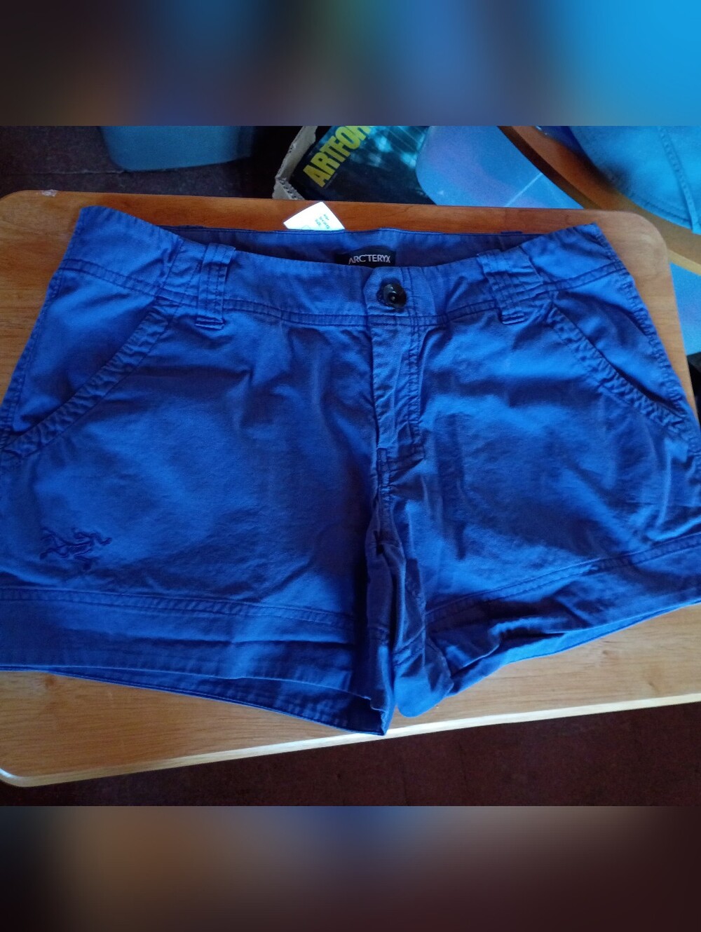 Arcteryx Purple Shorts Sz. 6